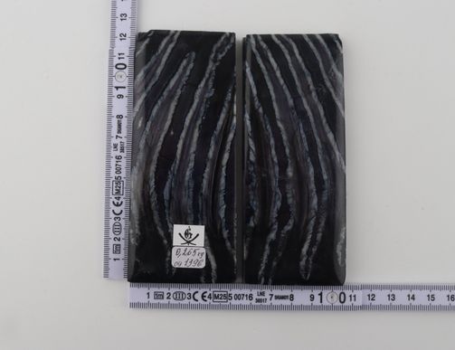 Stabilized mammoth molar scales
