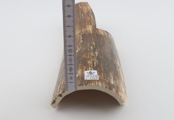 Natural mammoth bark