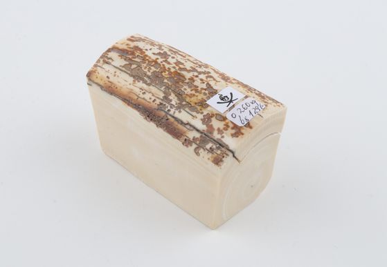 White mammoth ivory piece