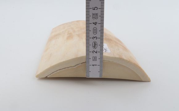 White mammoth ivory piece