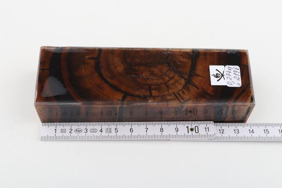 Stabilised mammoth ivory block