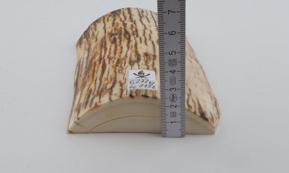 Natural mammoth ivory piece