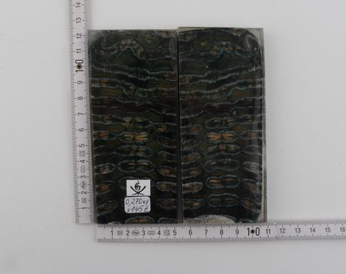 Stabilized mammoth molar scales