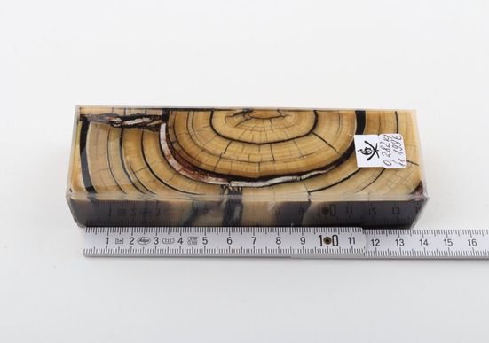 Stabilised mammoth ivory block