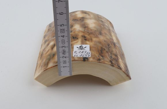 Beige-creme mammoth bark