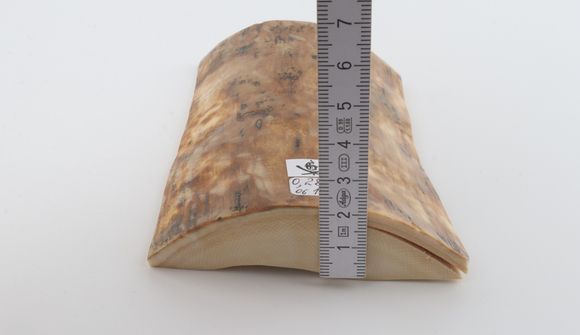 Brown-beige mammoth bark