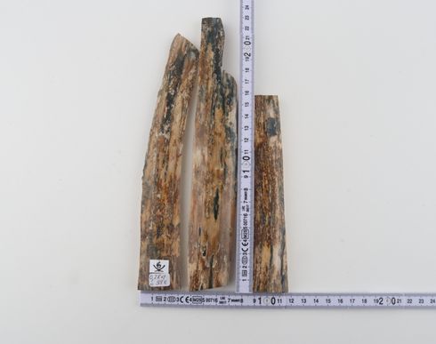 Beige mammoth bark pieces