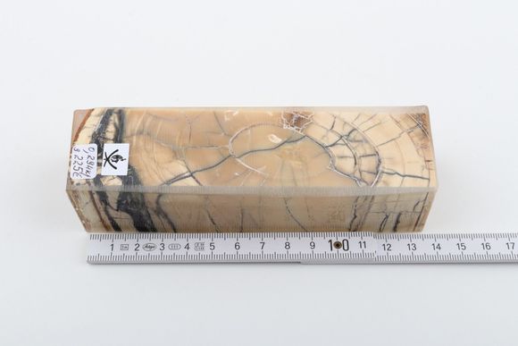 Stabilized mammoth ivory block