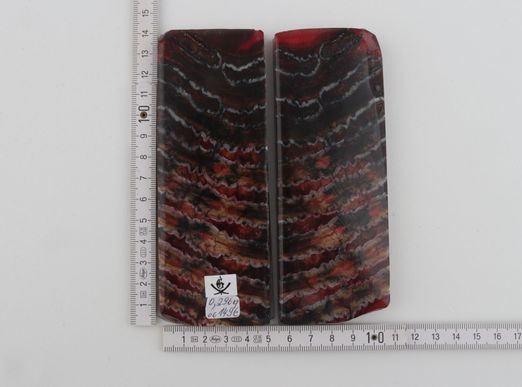 Stabilised mammoth molar scales
