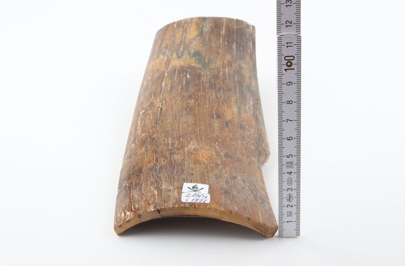 Natural mammoth bark