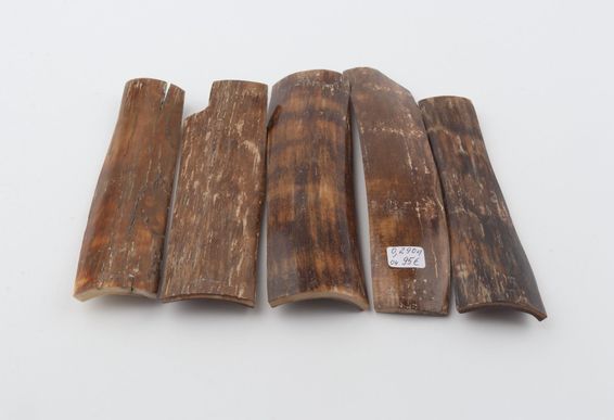 Natural mammoth bark pieces