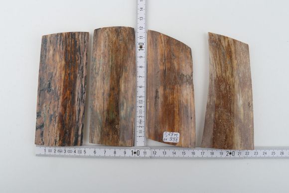 Natural mammoth bark pieces