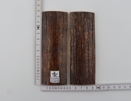 Natural mammoth bark scales