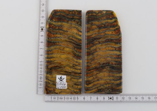 Stabilised mammoth ivory scales