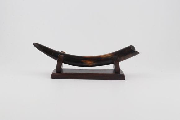 Restored mammoth tusk