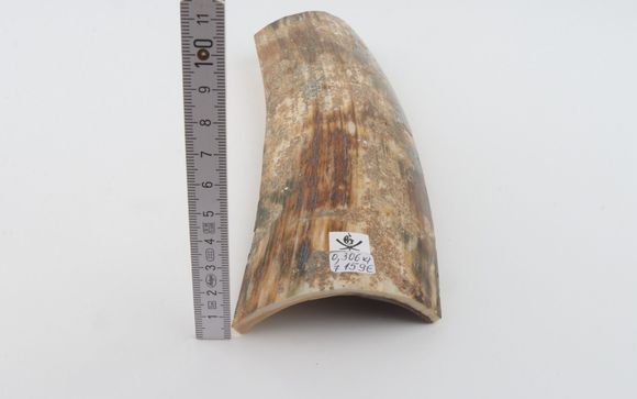 Natural mammoth bark