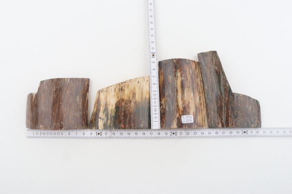 Natural mammoth bark pieces
