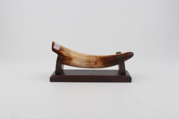 Restored mammoth tusk tip