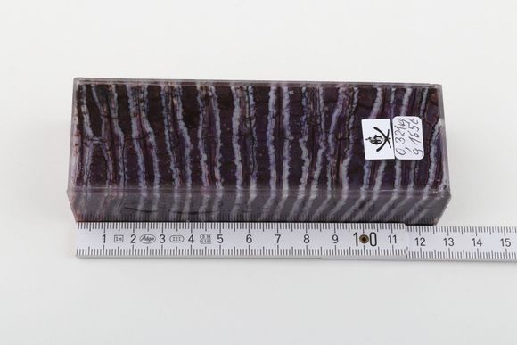 Stabilized mammoth molar block