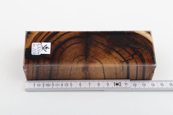 Stabilised mammoth ivory block