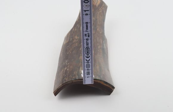 Brown mammoth bark