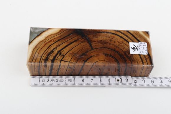 Stabilized mammoth ivory block