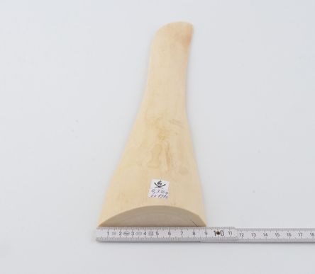 White mammoth ivory segment