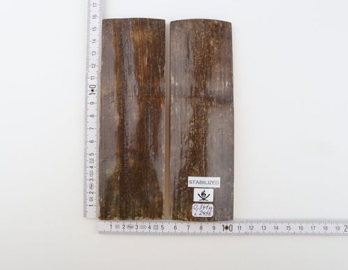 Stabilized mammoth bark scales
