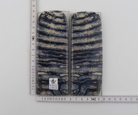 Stabilised mammoth molar scales