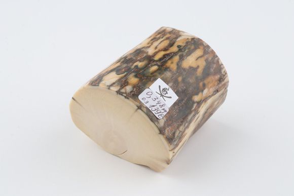 Natural mammoth ivory piece