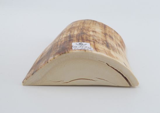 Natural mammoth ivory piece