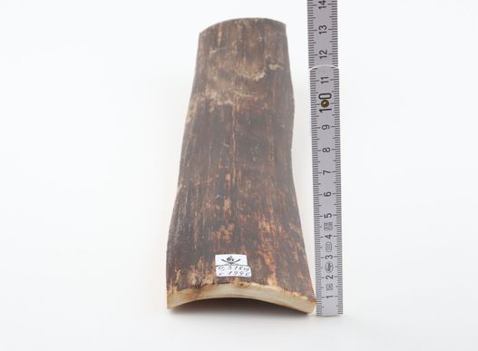 Brown mammoth bark