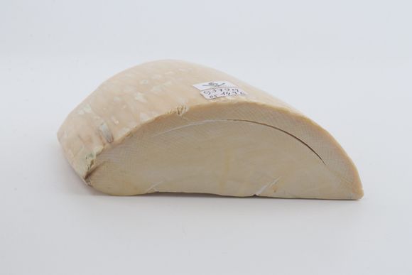Natural mammoth ivory piece