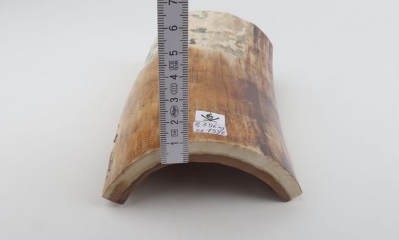 Natural woolly mammoth bark
