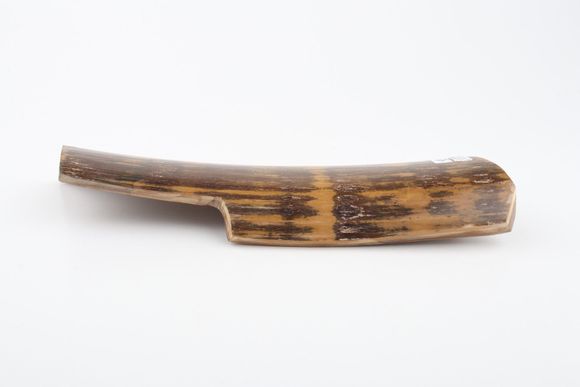 Brown-mustard mammoth bark