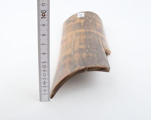 Brown-mustard mammoth bark