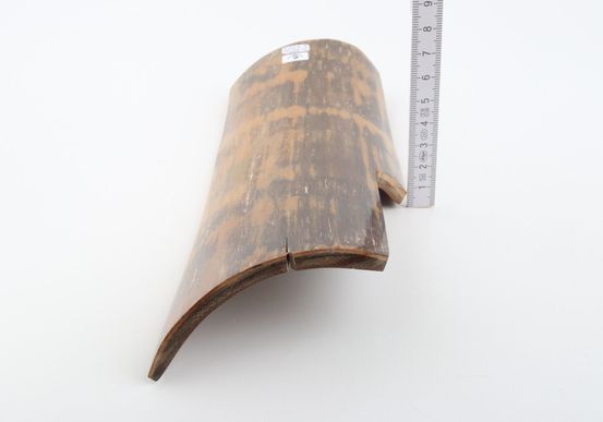 Brown-mustard mammoth bark