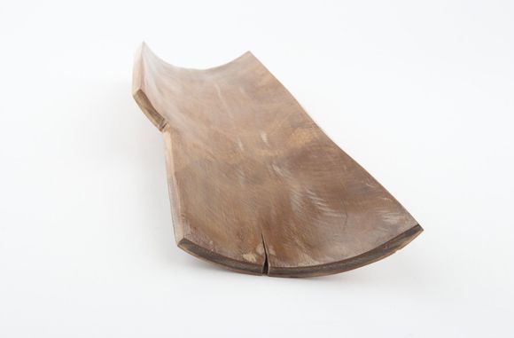 Brown-mustard mammoth bark