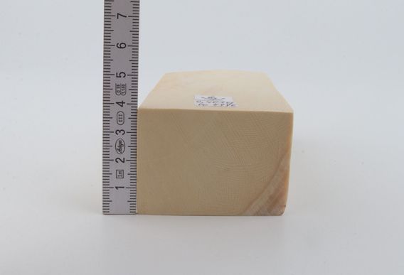 White mammoth ivory segment