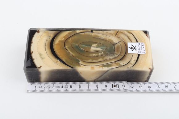 Stabilised mammoth ivory block