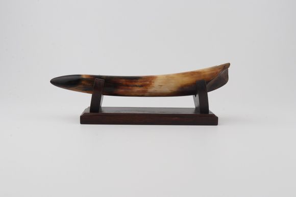 Restored woolly mammoth tusk tip