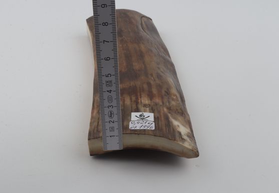 Brown mammoth bark