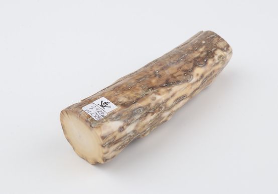 Round mammoth ivory piece