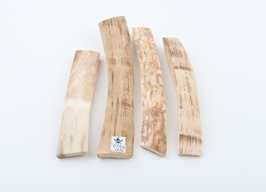 Natural beige mammoth bark