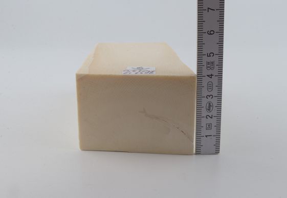 White mammoth ivory segment