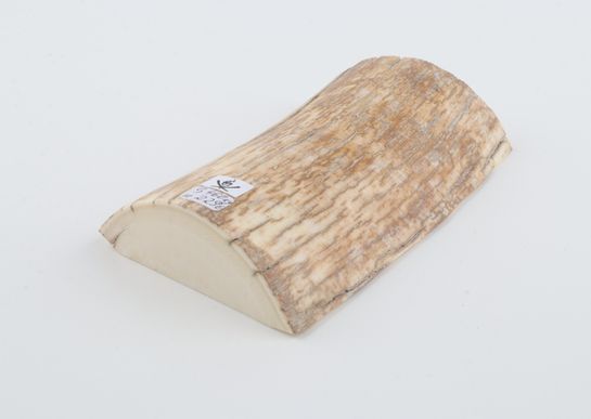 Natural mammoth ivory piece