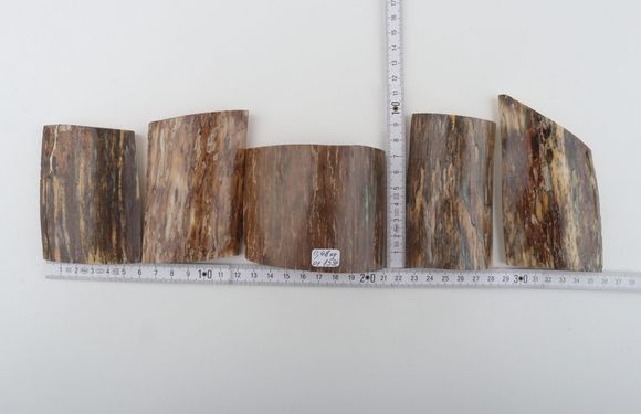Natural mammoth bark pieces