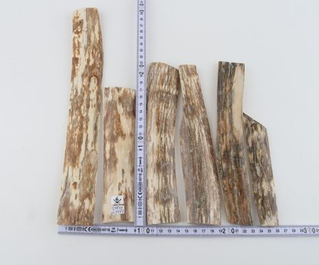 Natural mammoth bark pieces