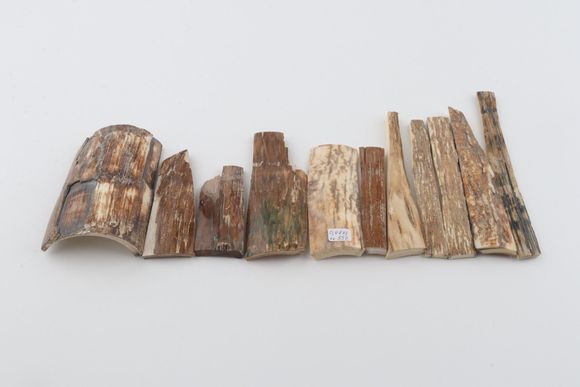 Natural mammoth bark pieces