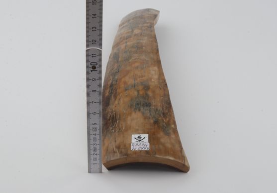 Natural mammoth bark